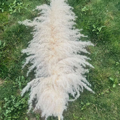 Luxurious Big Feather Grass Decor