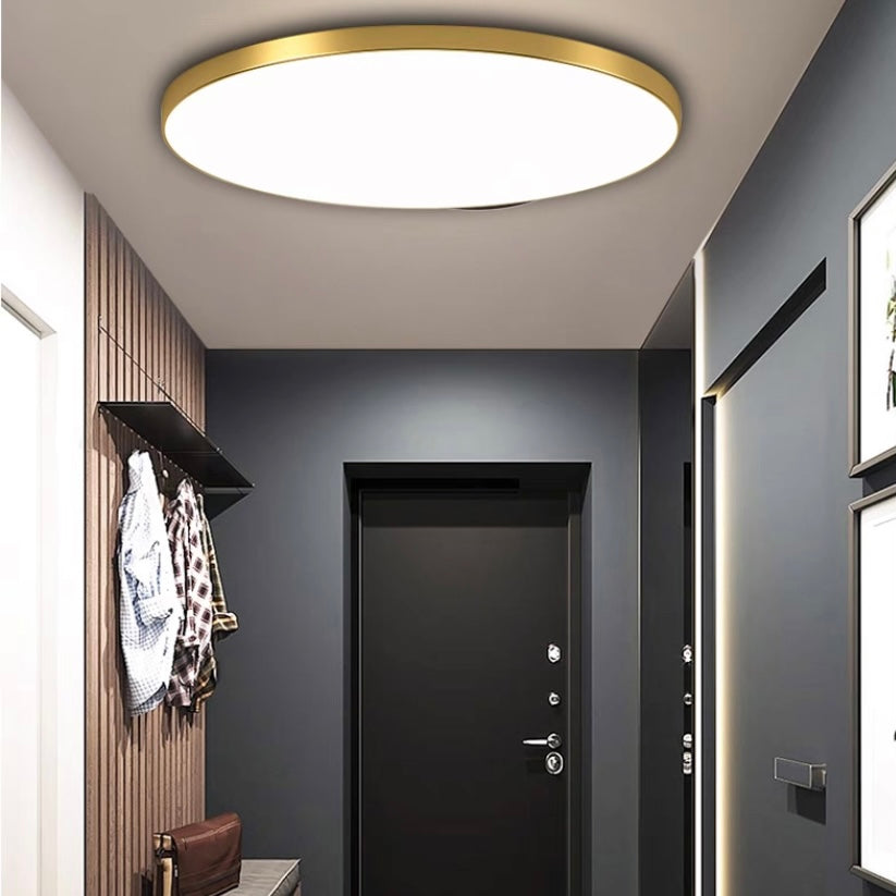 Sleek Contemporary LED Ceiling Light Fixture
