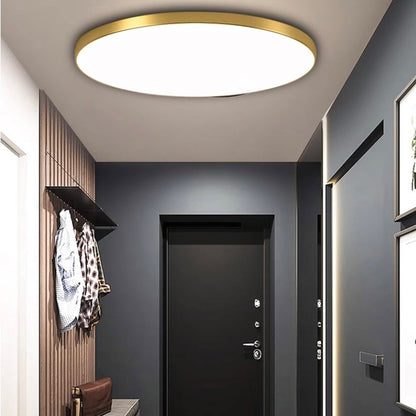 Sleek Contemporary LED Ceiling Light Fixture