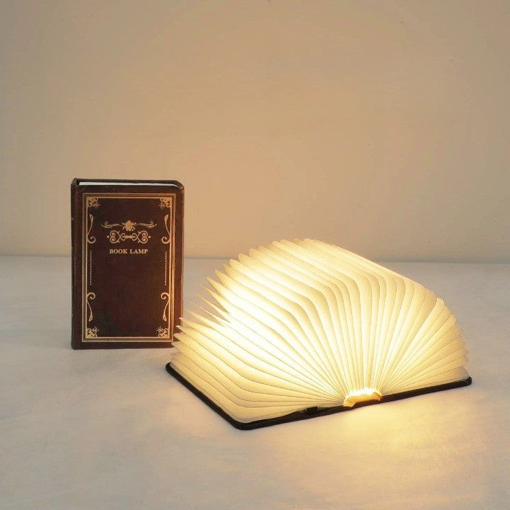 Bright Reading Modern LED Desk Lamp