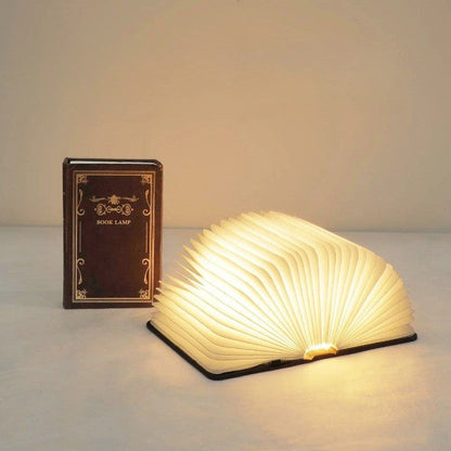 Bright Reading Modern LED Desk Lamp