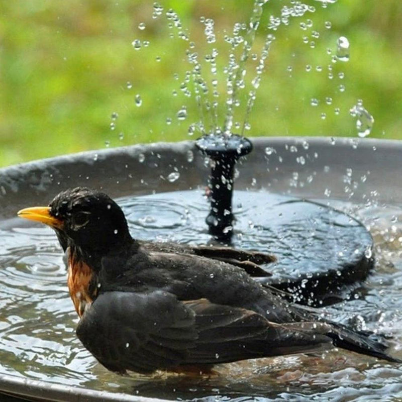 Solar Powered Fountain Pump for Garden and Pond Decor