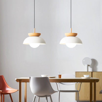 Stylish Metal Hanging Pendant Light - Cofik