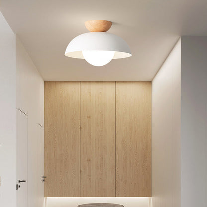 Stylish Metal Hanging Pendant Light