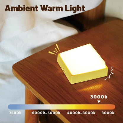 Portable LED Night Lamp with Dimmer and Timer