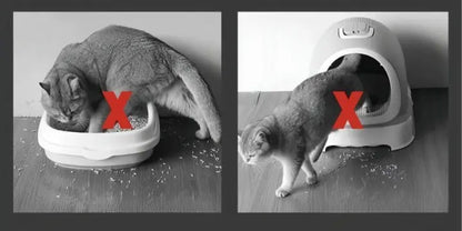 Practical Cat Litter Catcher Mat