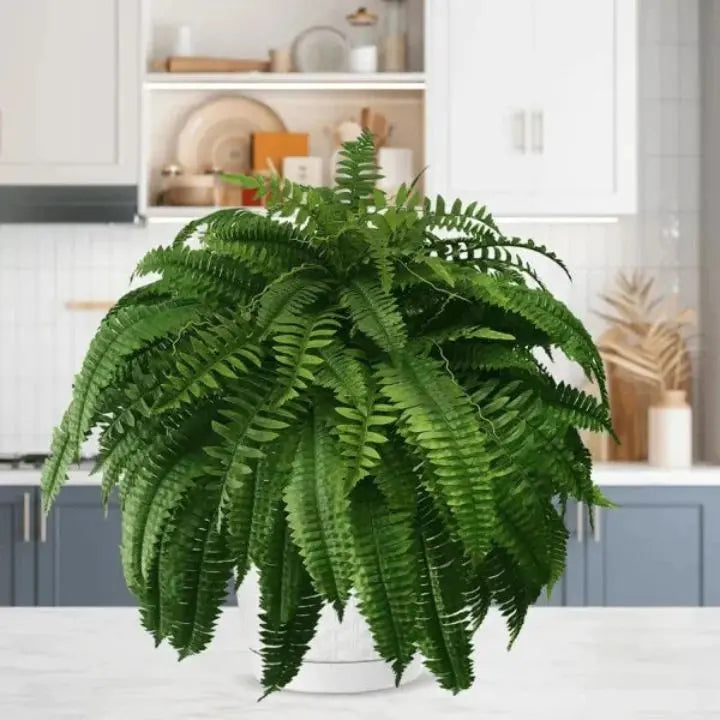 Realistic Green Fern Plant Bundle - Low Maintenance (18 Stems)