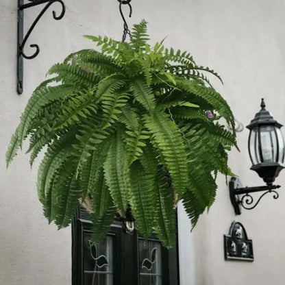 Realistic Green Fern Plant Bundle - Low Maintenance (18 Stems) - Cofik