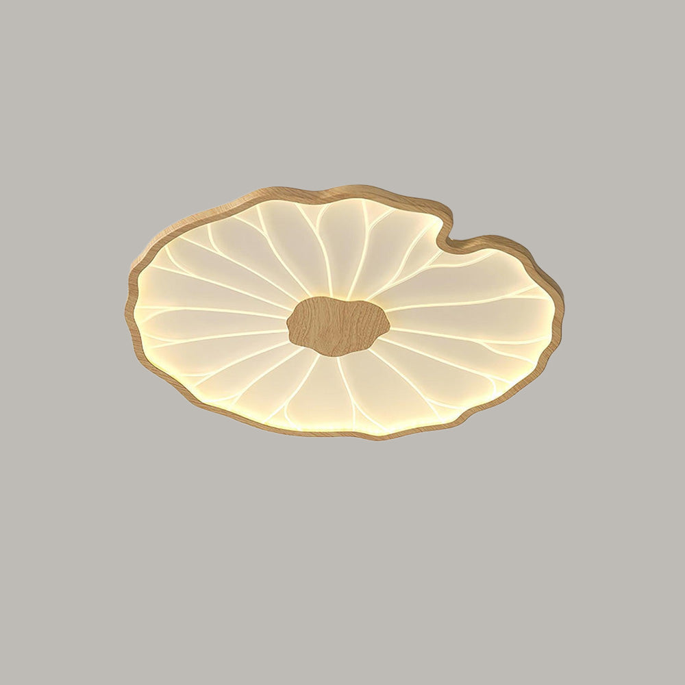 Bright LED Ceiling Light Fixture
