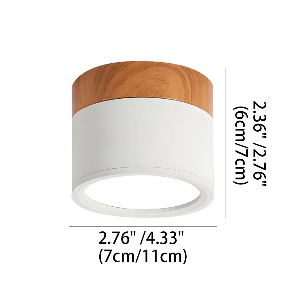Compact LED Mini Pendant Light Fixture