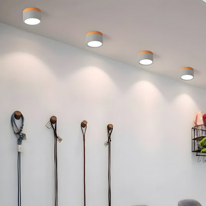 Compact LED Mini Pendant Light Fixture