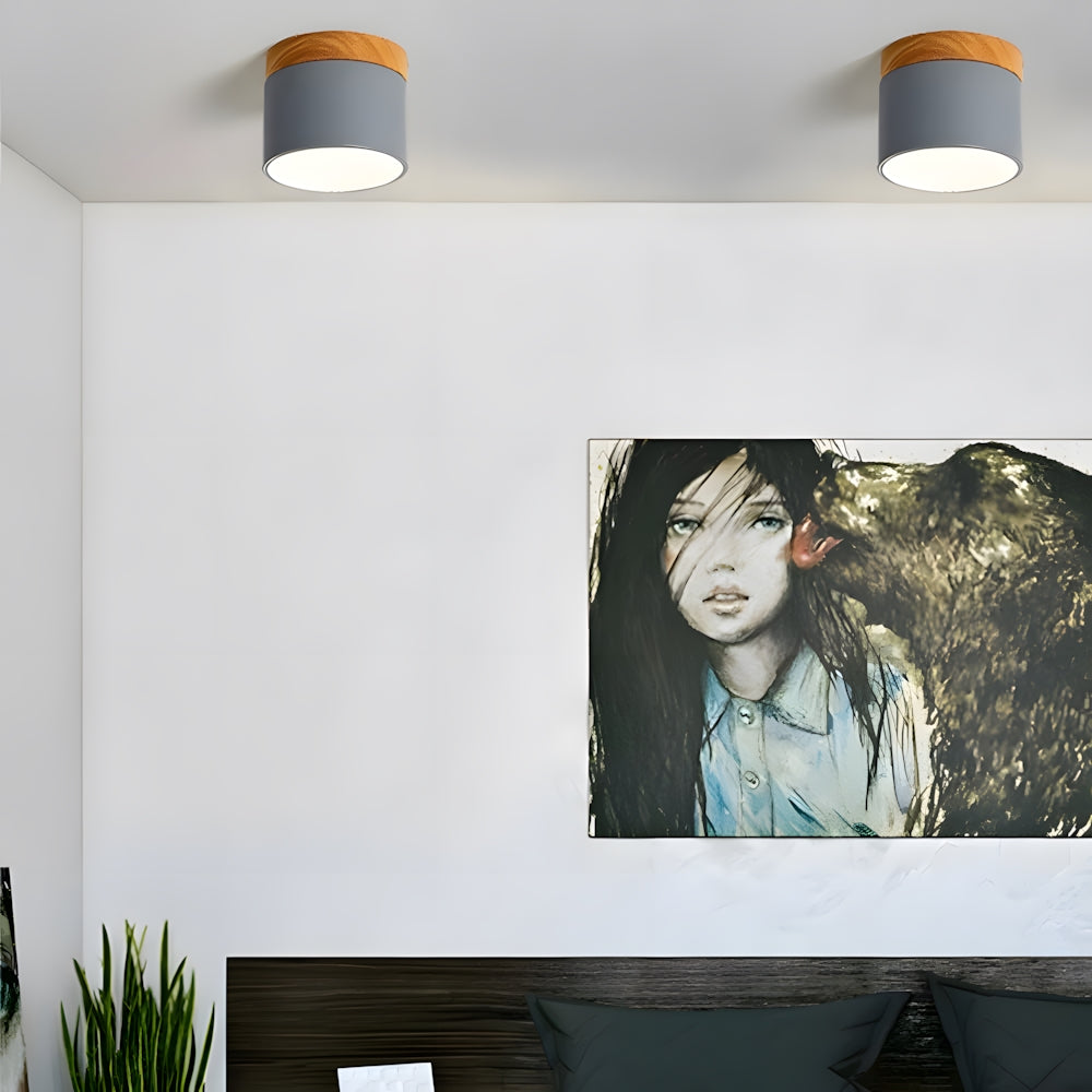 Compact LED Mini Pendant Light Fixture