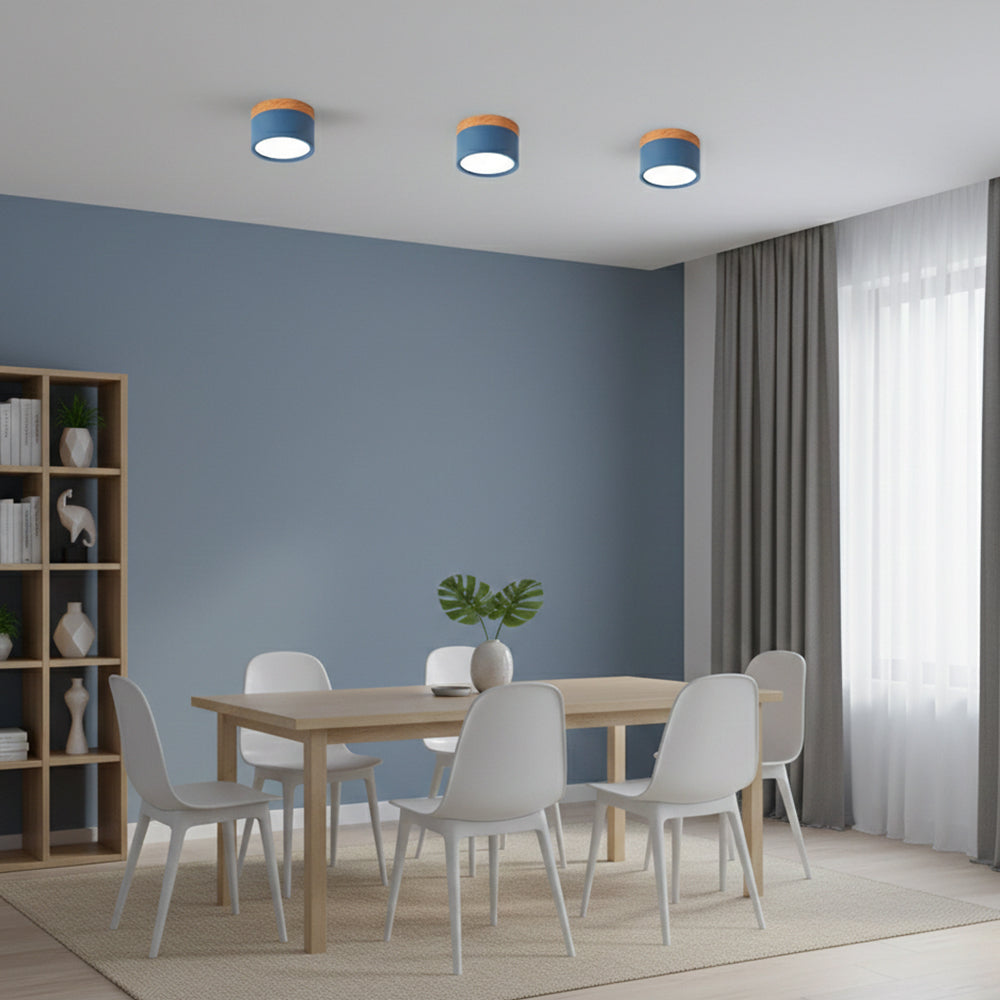 Compact LED Mini Pendant Light Fixture