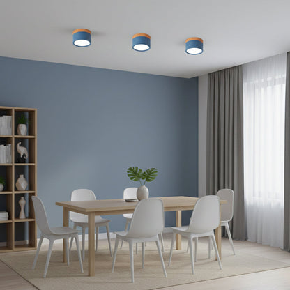 Compact LED Mini Pendant Light Fixture