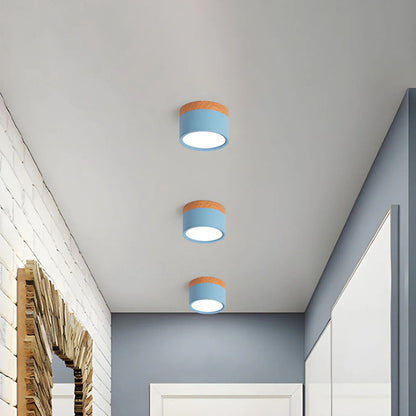 Compact LED Mini Pendant Light Fixture