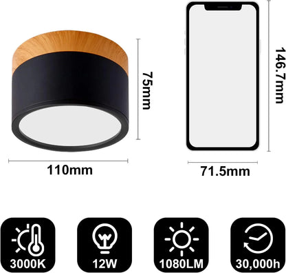 Compact LED Mini Pendant Light Fixture