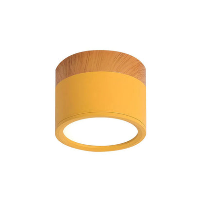Compact LED Mini Pendant Light Fixture
