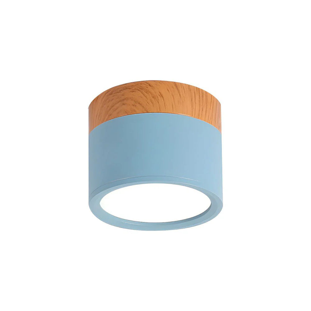Compact LED Mini Pendant Light Fixture