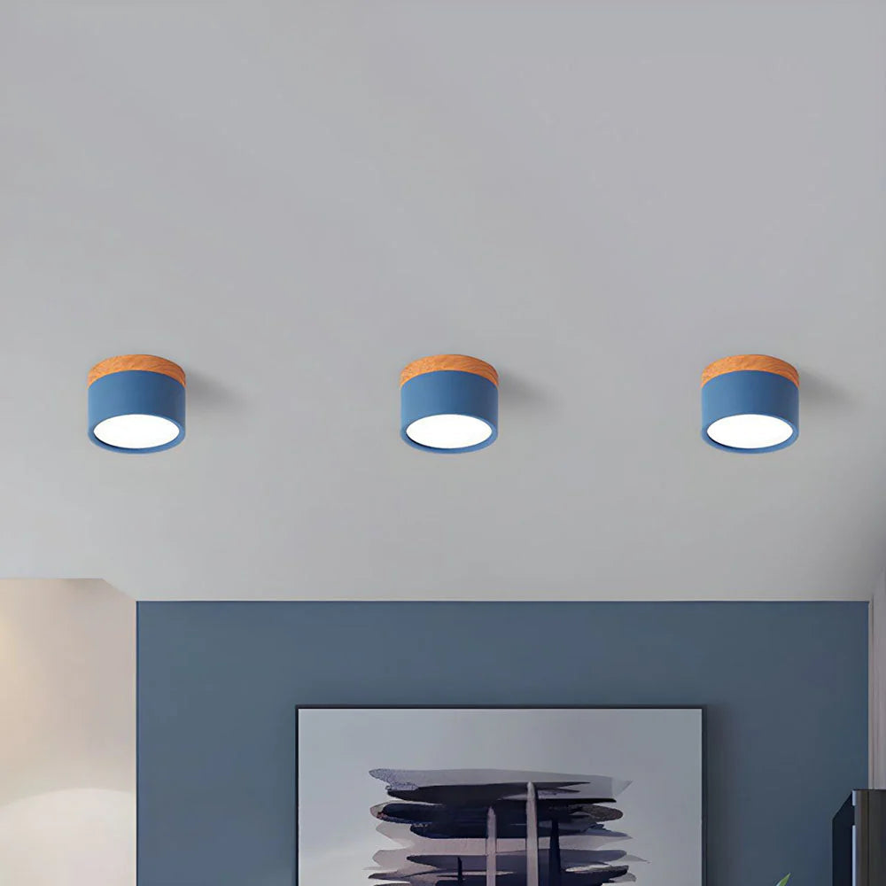 Compact LED Mini Pendant Light Fixture