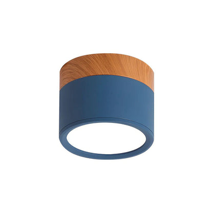 Compact LED Mini Pendant Light Fixture