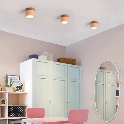 Compact LED Mini Pendant Light Fixture