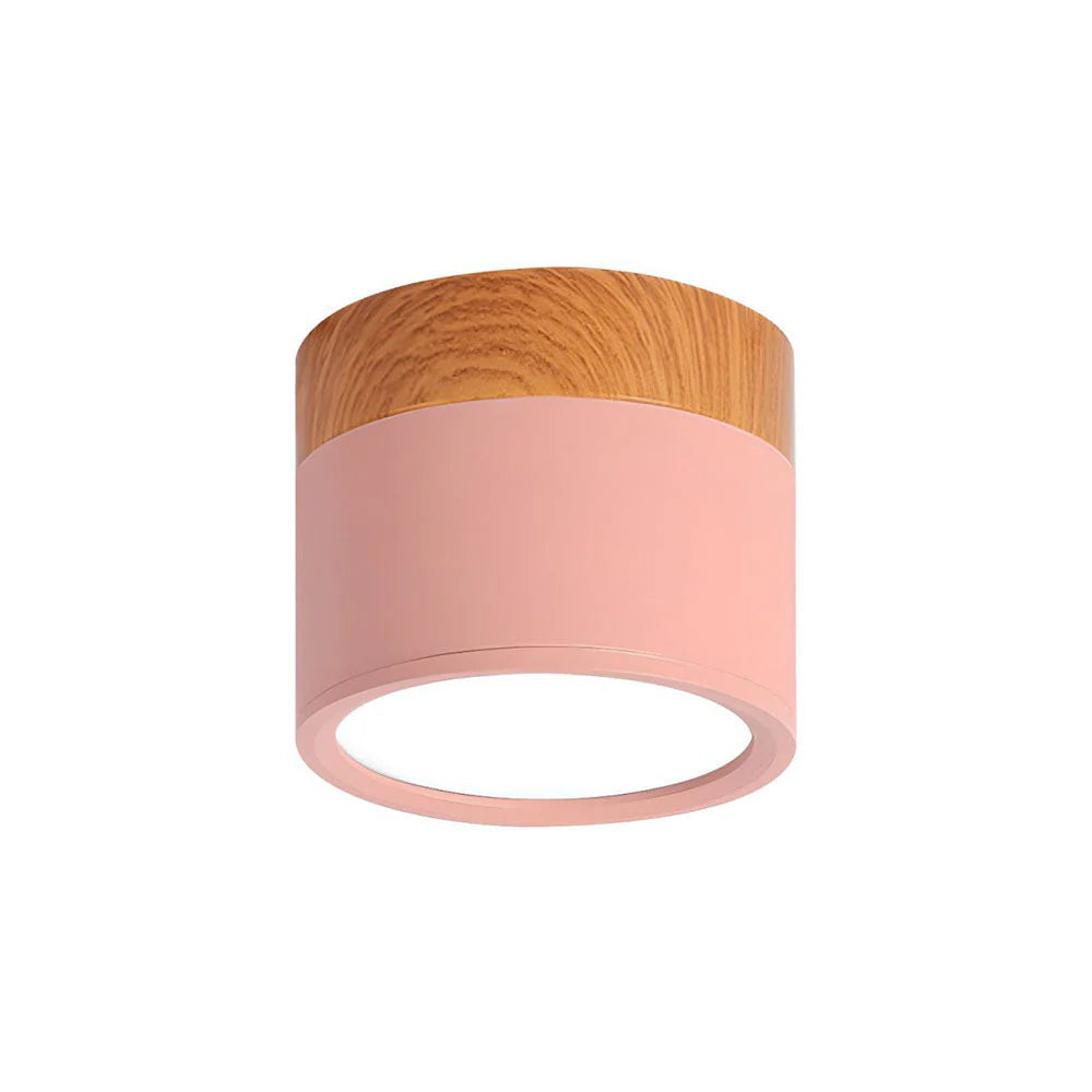 Compact LED Mini Pendant Light Fixture