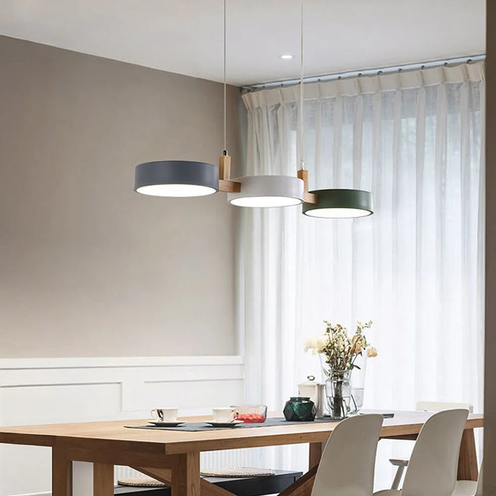 Colorful Metal Pendant Lamp Adjustable Hanging Light