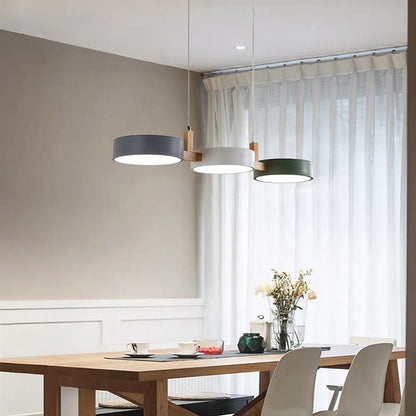 Colorful Metal Pendant Lamp Adjustable Hanging Light