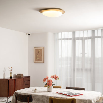 Compact LED Ceiling Lamp 12W Wooden Flush Mount