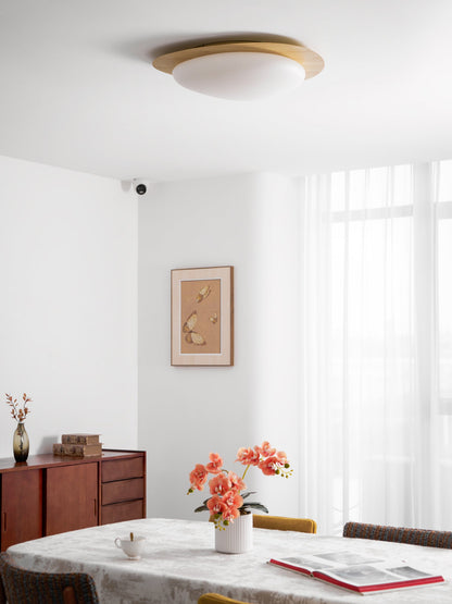 Compact LED Ceiling Lamp 12W Wooden Flush Mount