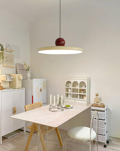 Round LED Pendant Light Fixture