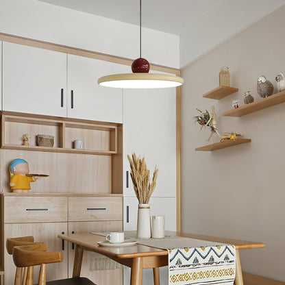 Round LED Pendant Light Fixture