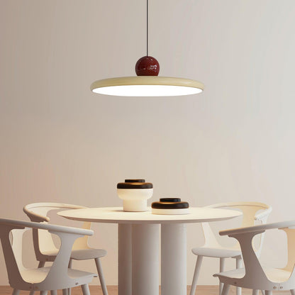 Round LED Pendant Light Fixture