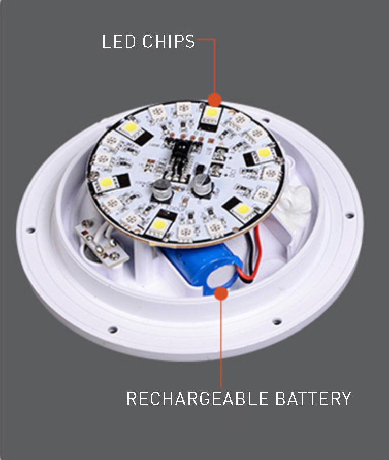 Compact Portable LED Desk Lamp