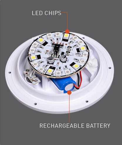 Compact Portable LED Desk Lamp