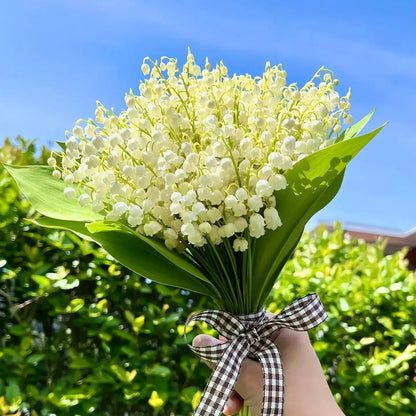Fragrant Lily of the Valley Plant Roots