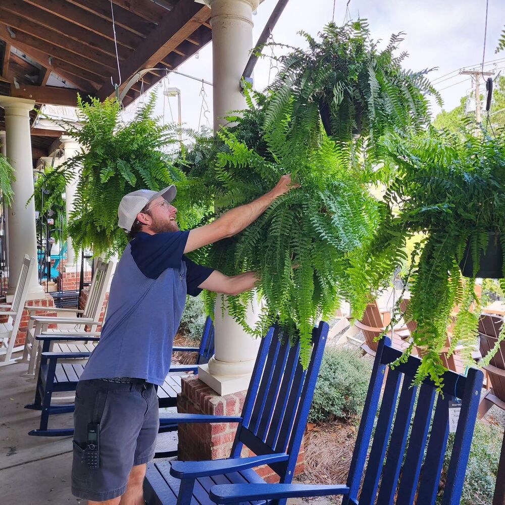 Durable Outdoor Boston Fern | Realistic UV Protected Plant