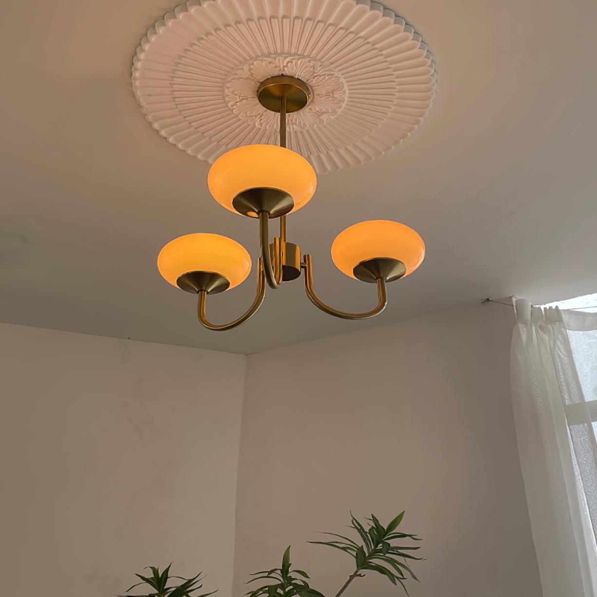 Soft Glow Pendant Chandelier Lamp