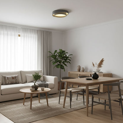 Stylish LED Flush Mount Ceiling Light Fixture