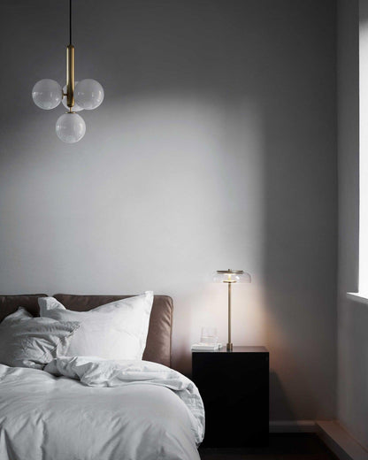 Stylish Hanging Pendant Ceiling Light