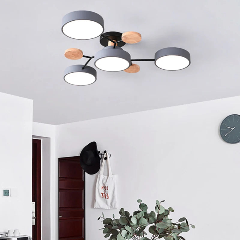 Stylish Slimline Ceiling Light with Brushed Finish