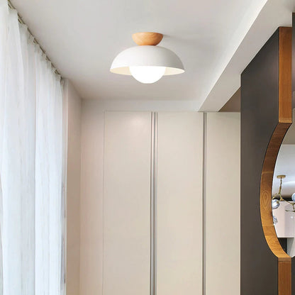 Stylish Metal Hanging Pendant Light