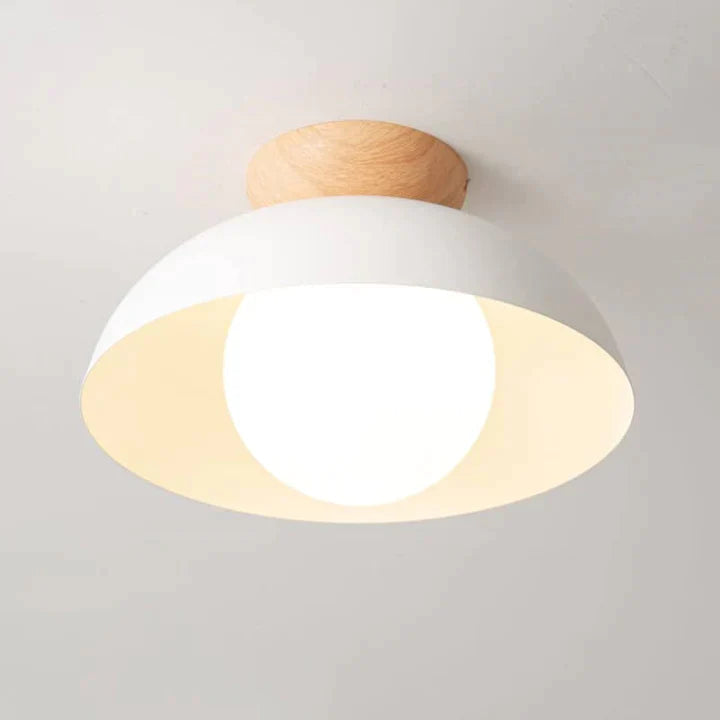 Stylish Metal Hanging Pendant Light