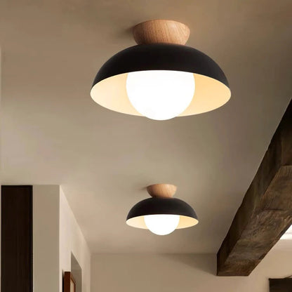 Stylish Metal Hanging Pendant Light