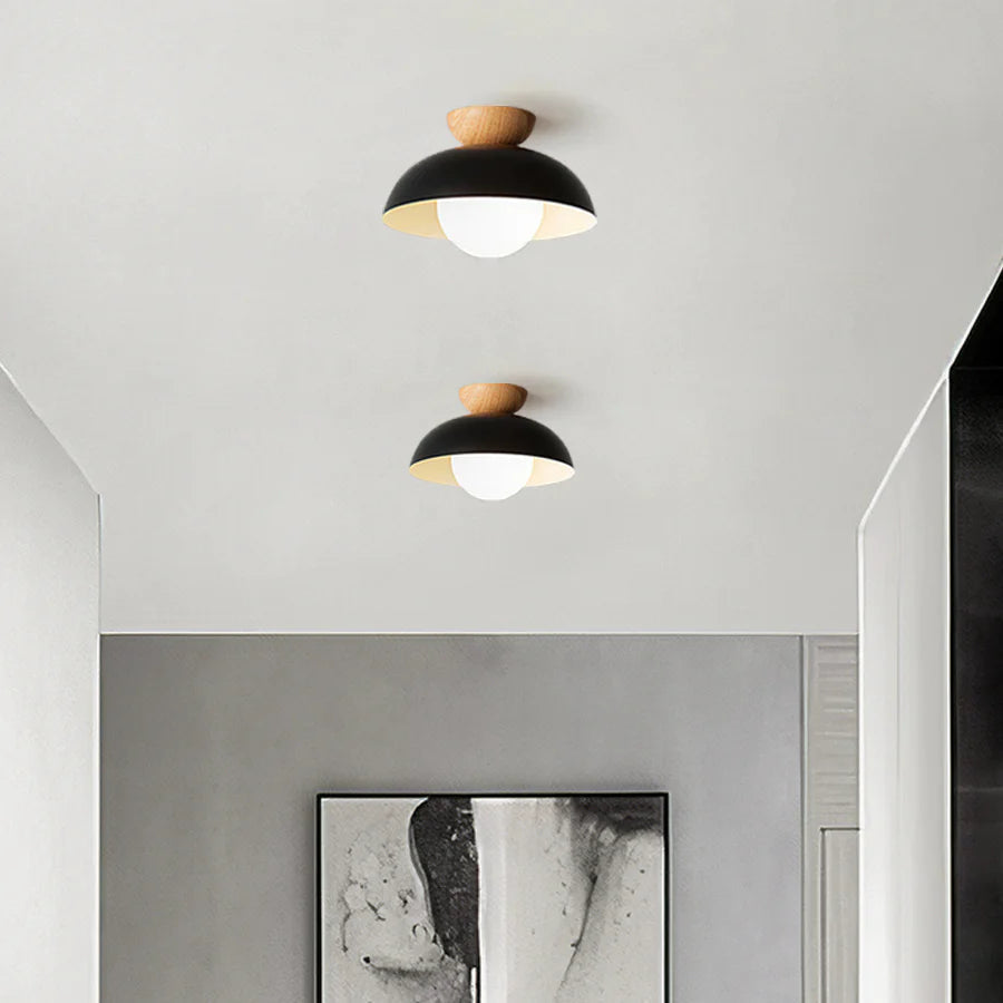 Stylish Metal Hanging Pendant Light