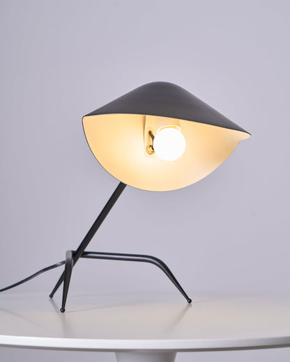 Tall Adjustable Floor Table Lamp