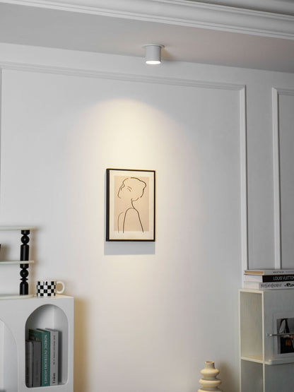 Compact White LED Ceiling Light Fixtures