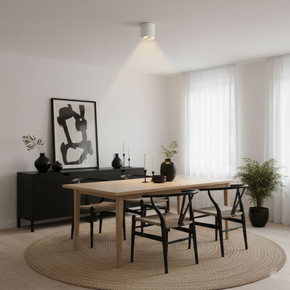 Compact White LED Ceiling Light Fixtures
