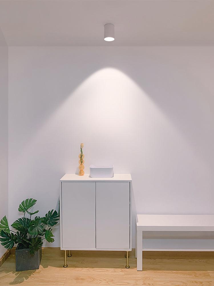 Compact White LED Ceiling Light Fixtures