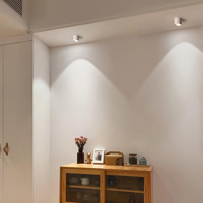 Compact White LED Ceiling Light Fixtures